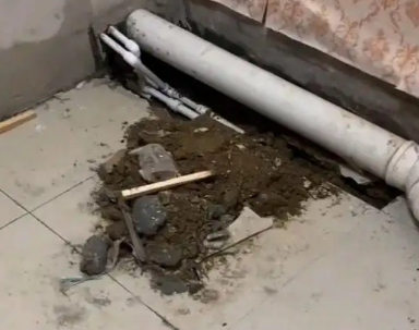 施秉卫生间漏水检测哪家好